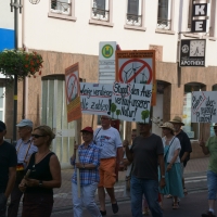 Gelnhausen-20140718 (25).jpg
